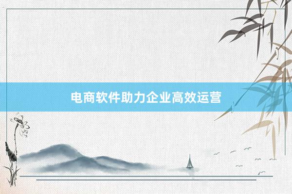电商软件助力企业高效运营